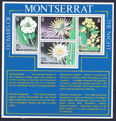 DB1 Montserrat Flora Flori MS MNH foto