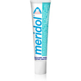 Meridol Gum Protection pastă de dinți ajuta la refacerea gingiilor iritate 20 ml