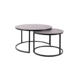 Set de 2 masute de cafea Arien, sticla/metal, gri mat/negru, 45 x 53 x 53 cm