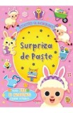 Surpriza de Paste - Pamela Barbieri