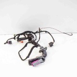 Cablaj Usa Dreapta Fata Chevrolet Volt 2012 Original 11028199