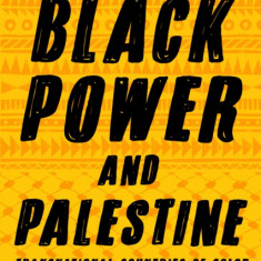 Black Power and Palestine: Transnational Countries of Color