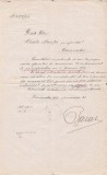 A3779N &Icirc;nștiințare de numirea &icirc;n funcția de primforestier, 1912, Caransebeș, Comunitatea de avere a fostului regiment confiniar rom&acirc;no-bănățean Nr 13