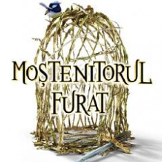 Mostenitorul furat - Holly Black