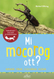 Mi mocorog ott? - B&auml;rbel Oftring