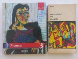 VIATA SI OPERA LUI PICASSO- FRANCESCO GALLUZZI + CONVORBIRI CU PICASSO - BRASSAI