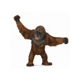 Figurina Urangutan L Collecta