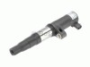 Bobina inductie RENAULT KANGOO Express (FC0/1) (1997 - 2007) BOSCH 0 986 221 045