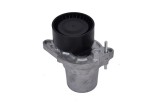Intinzator Curea Transmisie 469451 101309