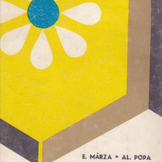 E. Mârza - Cartea apicultorului
