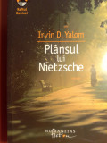 Irvin d yalom pl&acirc;nsul lui nietzdche