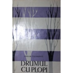 DRUMUL CU PLOPI