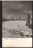 CPIB 22569 - CARTE POSTAL - PREDEAL. CABANA TREI BRAZI, RPR, Circulata, Fotografie