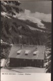 CPIB 22710 - CARTE POSTALA - MUNTII BUCEGI. CABANA &quot;PADINA&quot;, RPR, NECIRCULATA