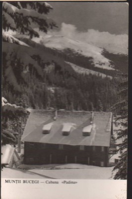CPIB 22710 - CARTE POSTALA - MUNTII BUCEGI. CABANA &amp;quot;PADINA&amp;quot;, RPR, NECIRCULATA foto