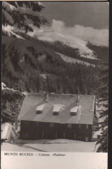 CPIB 22710 - CARTE POSTALA - MUNTII BUCEGI. CABANA &quot;PADINA&quot;, RPR, NECIRCULATA
