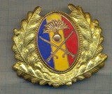 Y 1606 INSIGNA-MILITARA-EMBLEMA COIFURA- TRUPELE DE USCAT -PENTRU COLECTIONARI