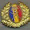 Y 1606 INSIGNA-MILITARA-EMBLEMA COIFURA- TRUPELE DE USCAT -PENTRU COLECTIONARI