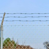 vidaXL S&acirc;rmă ghimpată Verde 50 m Oțel galvanizat prin imersie la cald 42010307