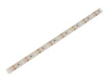 Bandă LED alb rece 12V IP65