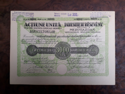 3000 Lei 1923 Societatea Agricultorilor Arad actiuni vechi actiune Romania 0290 foto