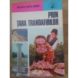 PRIN TARA TRANDAFIRILOR-VALENTIN HOSSU-LONGIN-229178