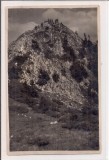 Fotografie tip carte postala necirculata din perioada interbelica