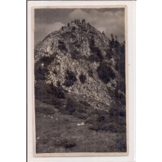 Fotografie tip carte postala necirculata din perioada interbelica