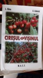 CIRESUL SI VISINUL L. CHIRA si A. ASANICA