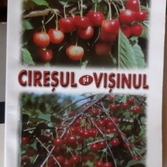 CIRESUL SI VISINUL L. CHIRA si A. ASANICA