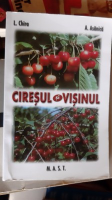 CIRESUL SI VISINUL L. CHIRA si A. ASANICA foto