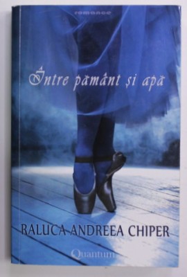 INTRE PAMANT SI APA de RALUCA ANDREEA CHIPER , 2016 foto