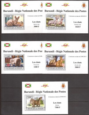 BURUNDI 2013 FAUNA PISICI ( 5 colite de luxe dt.) MNH foto