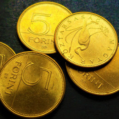 Moneda 5 FORINTI / FORINT - UNGARIA, anul 1994 * cod 5145 = A.UNC