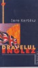 Roman Drapelul Englez Imre Kertesz, Editura Humanitas, Holocaust, 2004, Brosata, Stare Buna