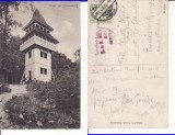Sighisoara- Turn- rara