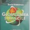 Globalizarea si bancile &ndash; Daniel Badulescu