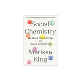 Social Chemistry: Decoding the Patterns of Human Connection
