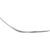 Bandou bara dreapta fata dreapta Bmw Seria 7 (E65/E66), 09.2001-12.2004, crom, 51117033476, Rapid