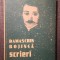 Damaschin Bojincă - Scrieri: de la idealul luminării la idealul național