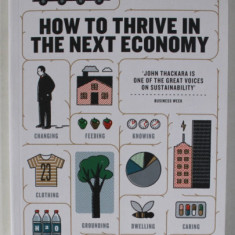 HOW TO THRIVE IN THE NEXT ECONOMY by JOHN THACKARA , 2017