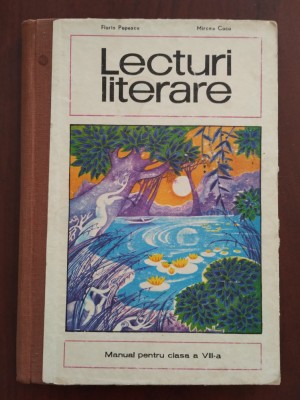 Lecturi literare VIII - 8 - Florin Popescu și Mircea Cucu 1974 foto