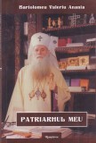 Cumpara ieftin Carte Bartolomeu Valeriu Anania - Patriarhul meu, Religioasa, Brosata, Stare Buna, 248 Pagini, 2017