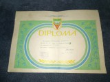 8 DIPLOME PERIOADA COMUNISTA