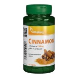 EXTRACT DE SCORTISOARA 375MG 90CP