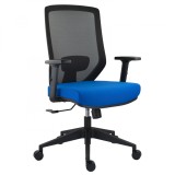 SCAUN ERGONOMIC JOJO, ALBASTRU