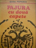 Pajura cu doua capete - Stefan Popescu