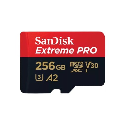 MICROSDHC 256GB CL10 SDSQXCD-256G-GN6MA foto