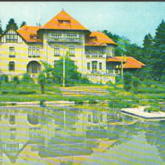 CPI B 11956 CARTE POSTALA - DARMANESTI, JUD. BACAU - TABARA PENTRU SCOLARI