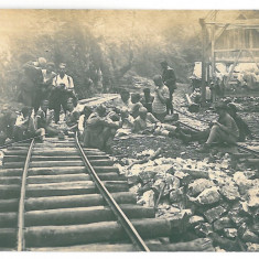 4492 - SIGHISTEL, Bihor, scouts and railway, Romania - old postcard - unused